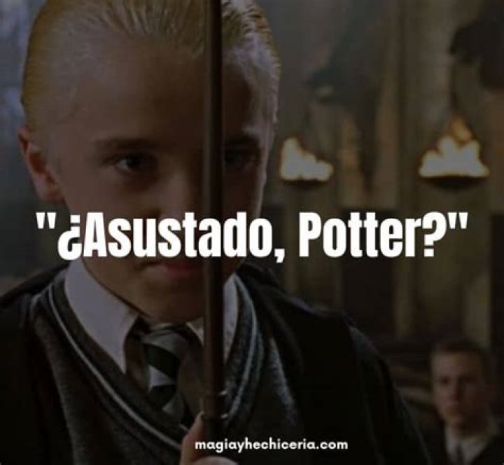 Asustado Potter - How To Discuss