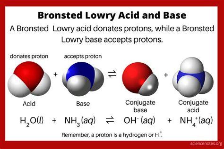 bronsted lowry acid and base