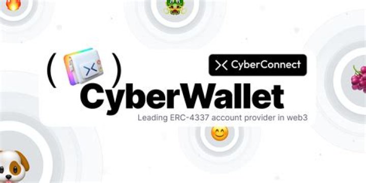 Cyber wallet - How To Discuss