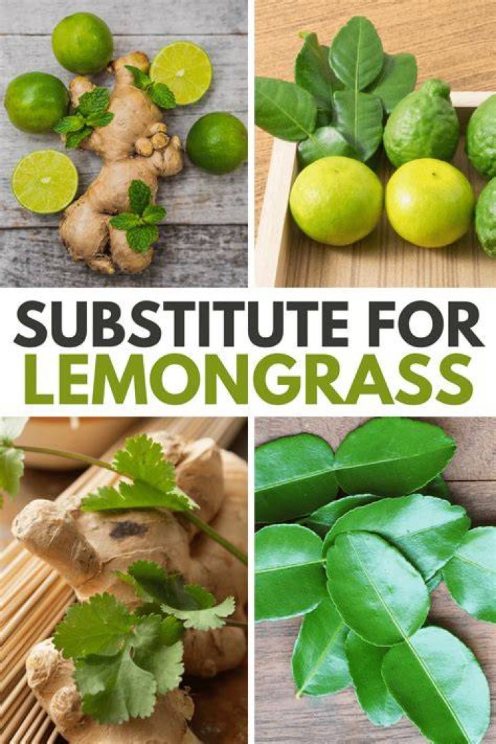 Lemongrass Paste Substitute - How To Discuss