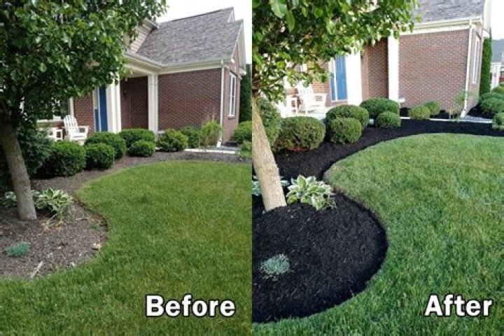 mulch bed