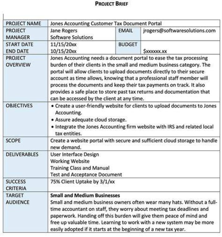 Project Brief