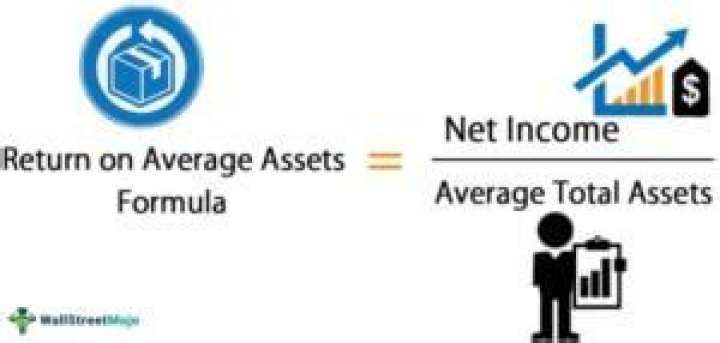 Return On Average Assets (ROAA)