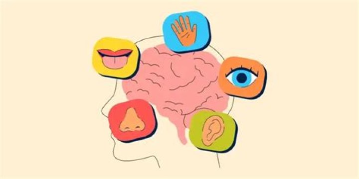 sensory perception