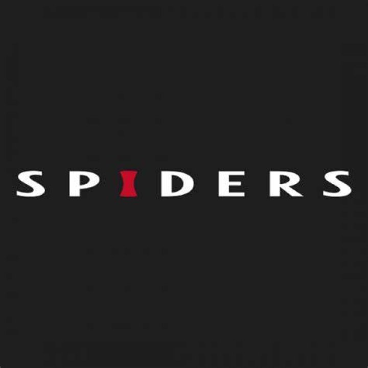 spiders company