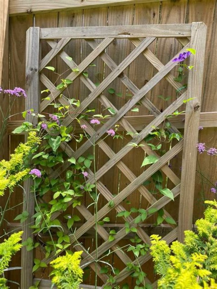 Train Trellis - How To Discuss