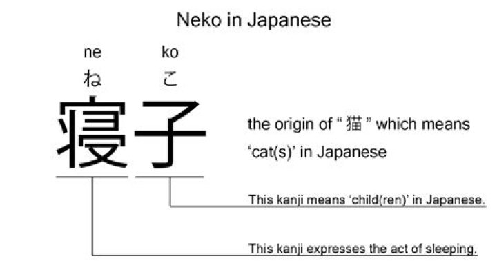 What Does Neko Mean - How To Discuss